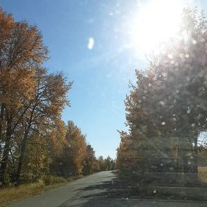 Meet your Posher, Alexandra